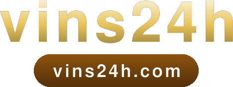 vins24h logo